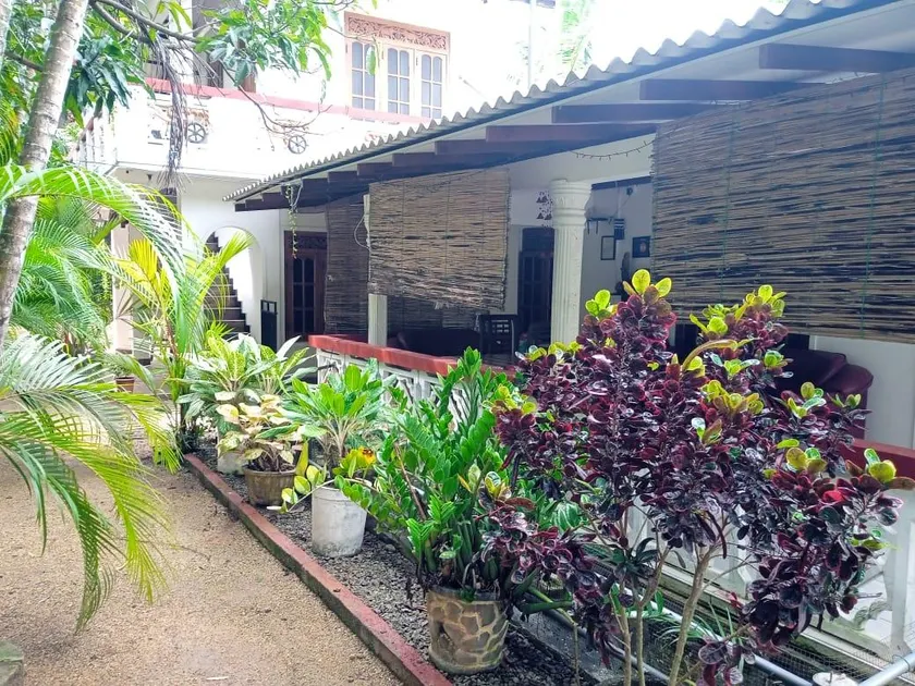 The Green Garden - Image 1