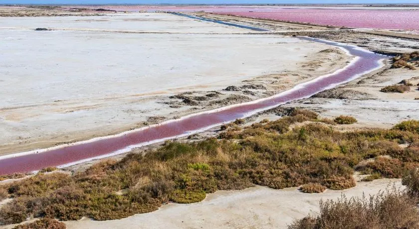 Nuits Salines Salin de Giraud - Image 1