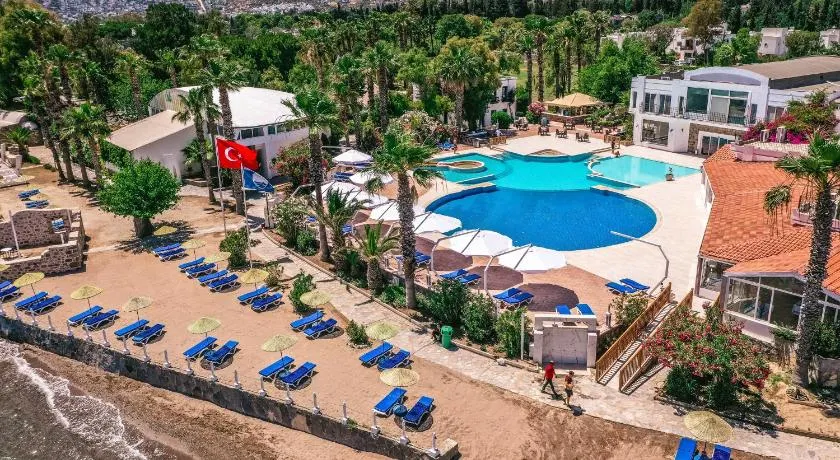 Club Muskebi - Image 1