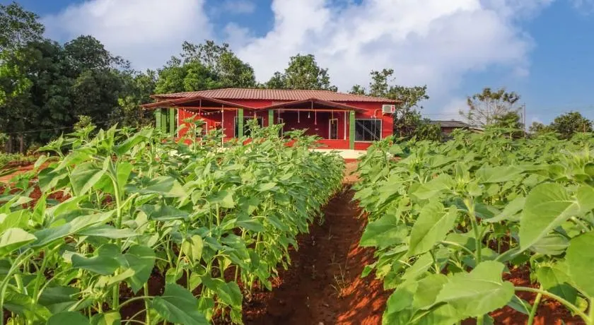 AARYA FARM - Image 1