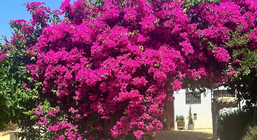 Lavender Lodge Almeria - Image 1