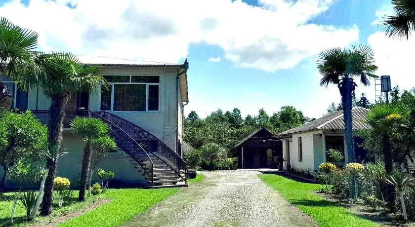 Ani's Green House - Image 1