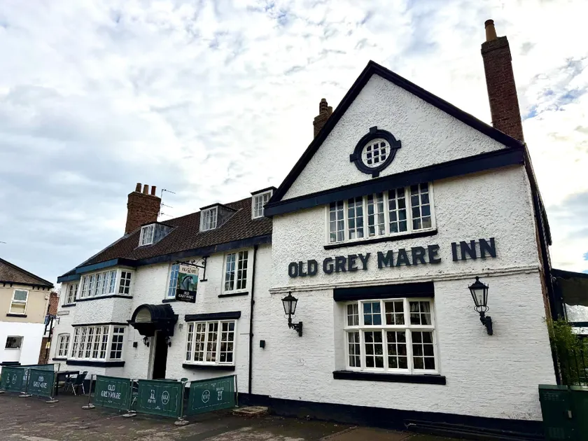 Old Grey Mare - Image 1