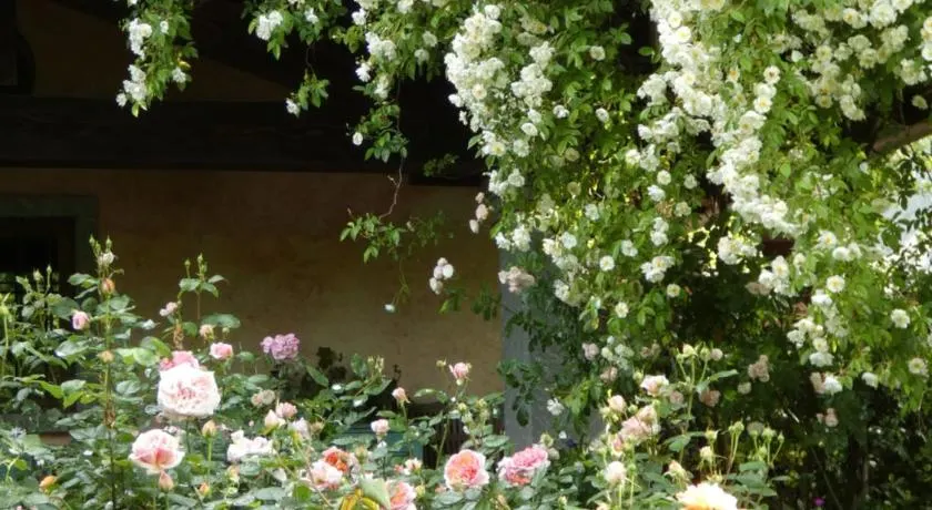 Rosedeliziose B&B Baldissero Canavese - Image 1