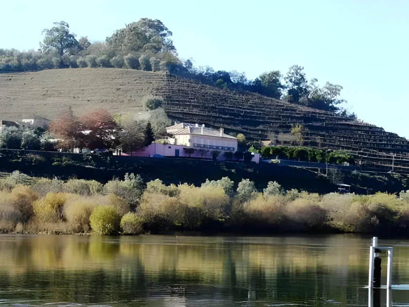 Casa Dos Varais, Manor House - Image 1