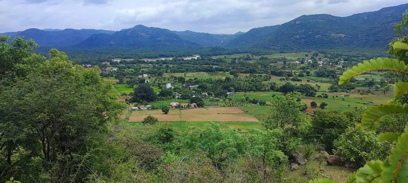 Aalamaram Farm, Where life blooms gracefully. - Image 1