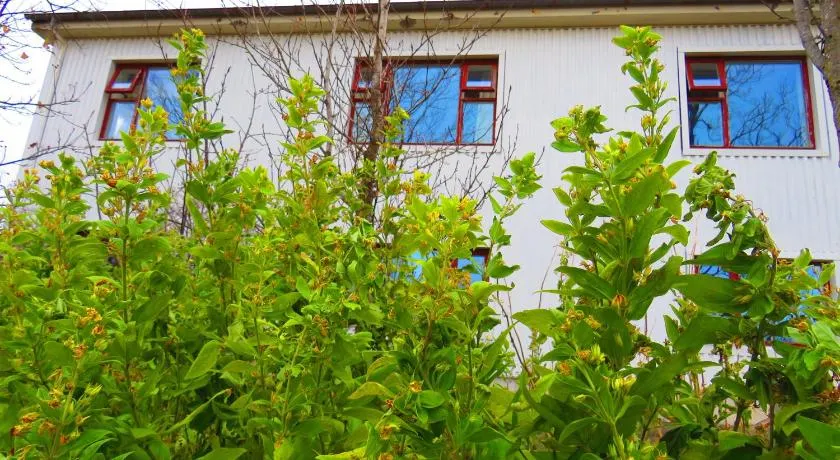 Guesthouse Kálfafellsstadur - Image 1