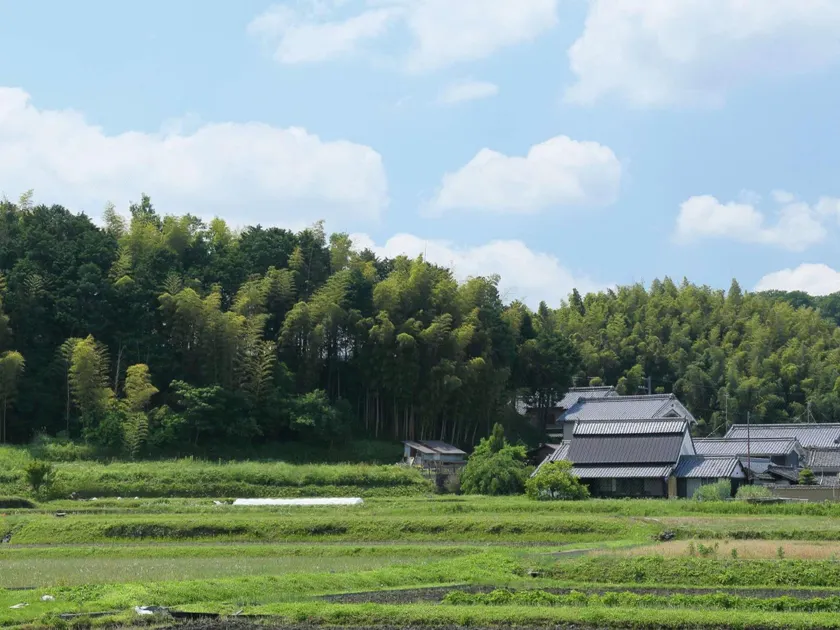 Shinrajuku - Image 1