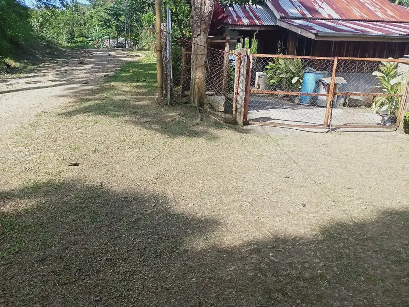 house - Image 1