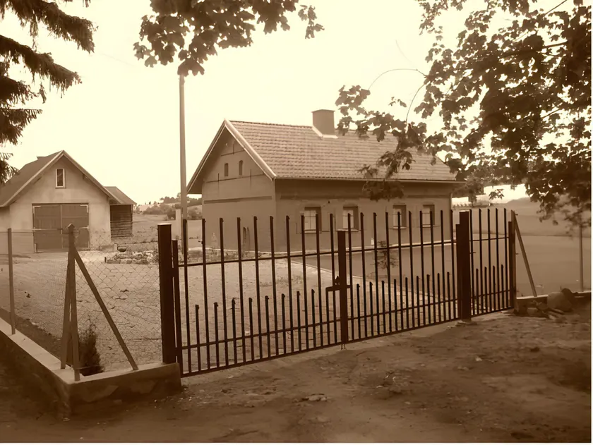 Pieczarki - Image 1