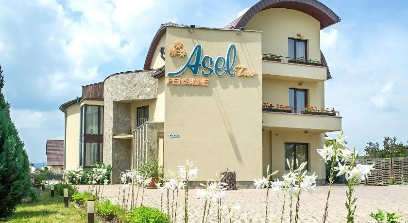 AselTur Brasov - Image 1