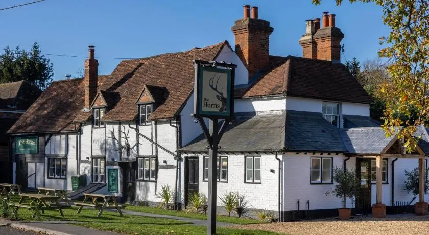 The Horns Pub - Crazies Hill - Image 1