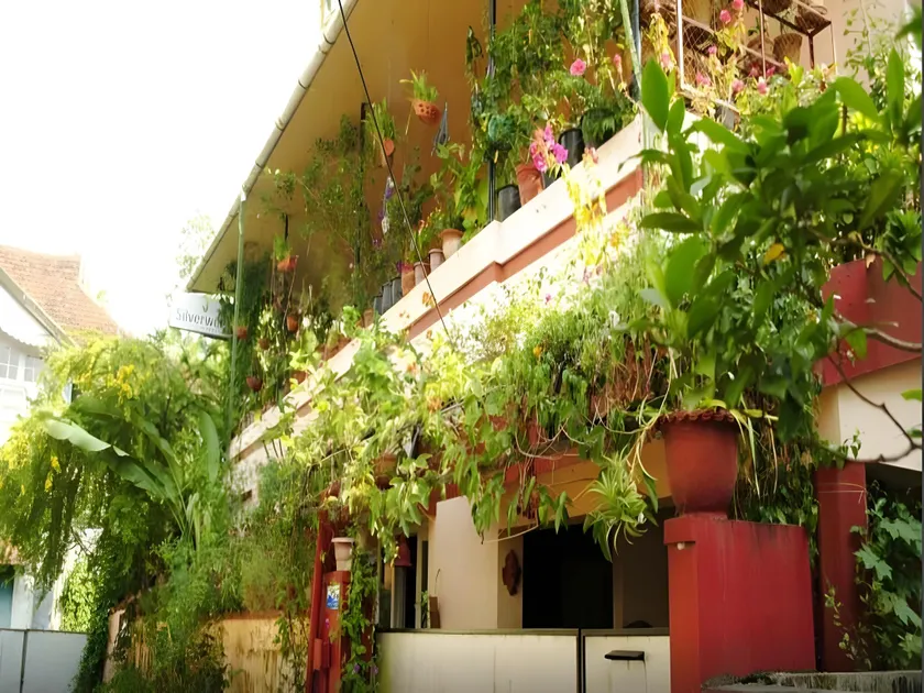 Silverweed homestay - Image 1
