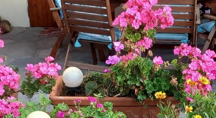 Στουντιο στο Πανοραμα - Image 1
