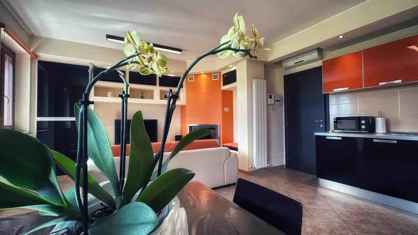 Vacancuore, a casa di Giada - Image 1
