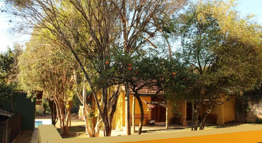 Guappo Socorro - Image 1