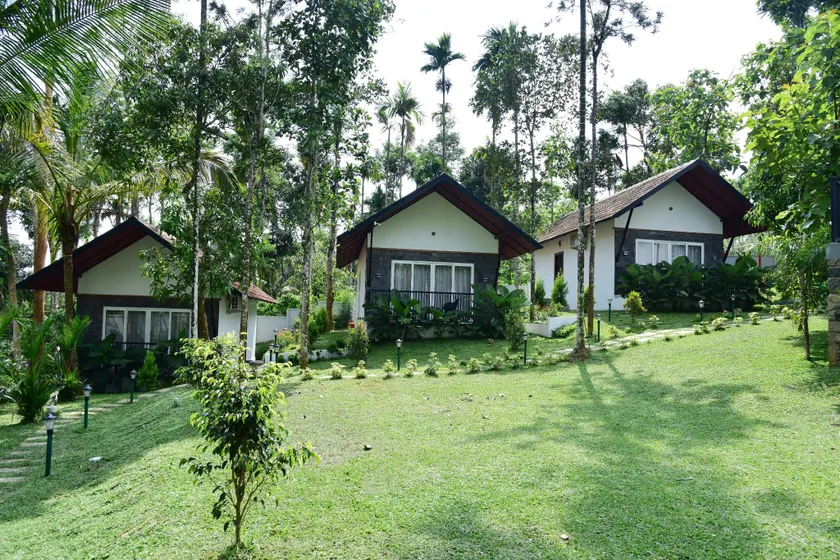 Snow white resort wayanad - Image 1