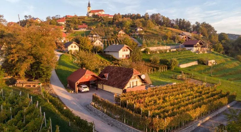 Holiday home in Novo Mesto - Dolenjska Bela krajina Unter- Weißkrain 42895 - Image 1