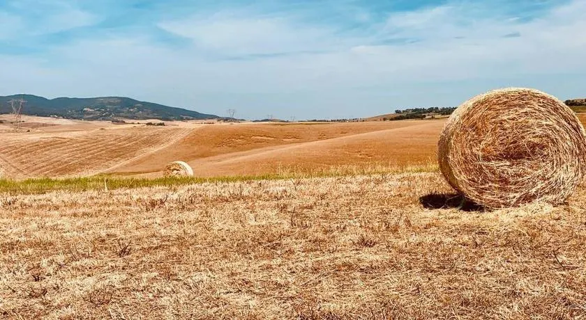 Vacanze sulle colline Toscane ad un passo dal mare - Image 1