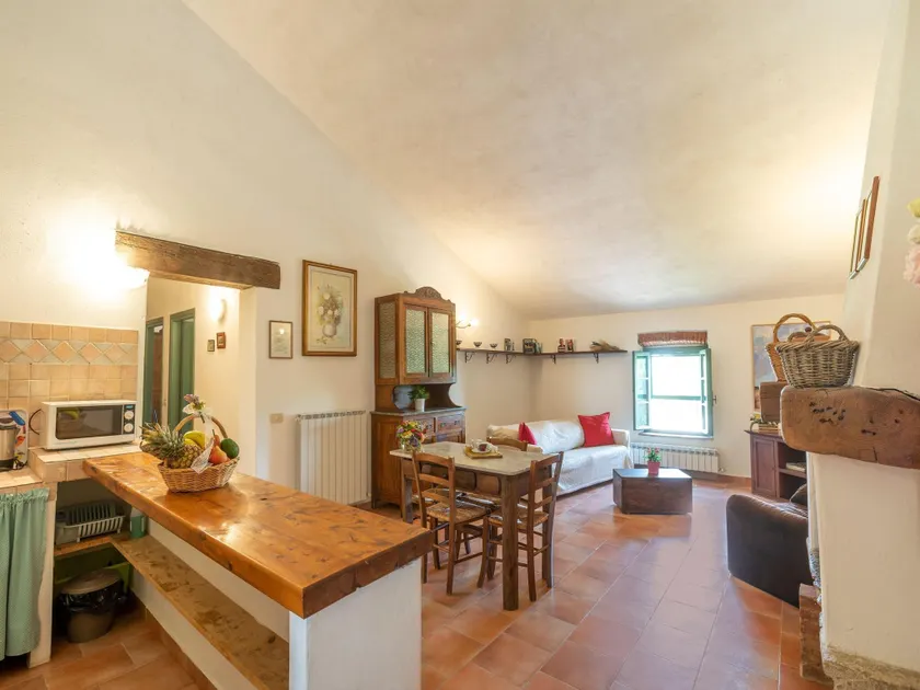Apartment in Collesalvetti near Pisa - Image 1