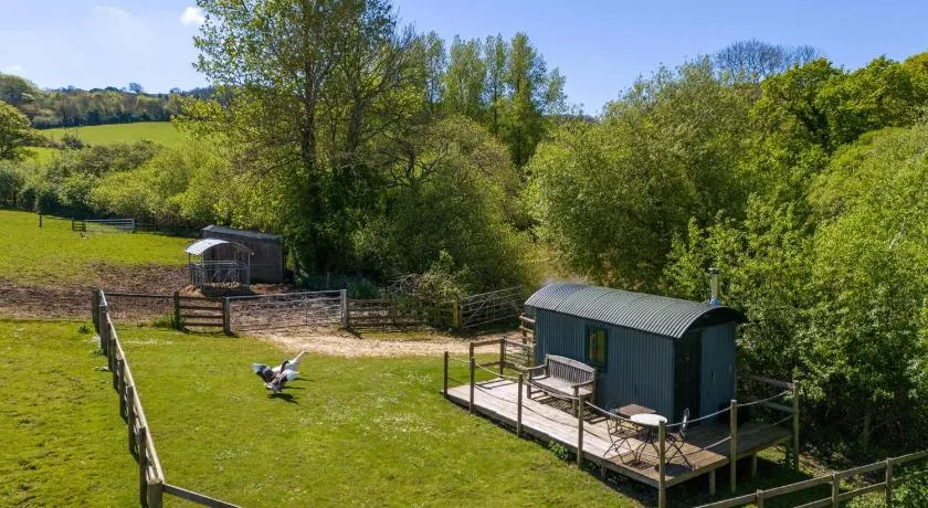The Hut - Image 1