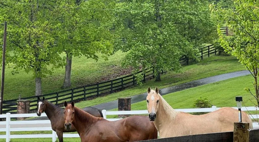 Nicura Ranch Inn & Stables - Image 1