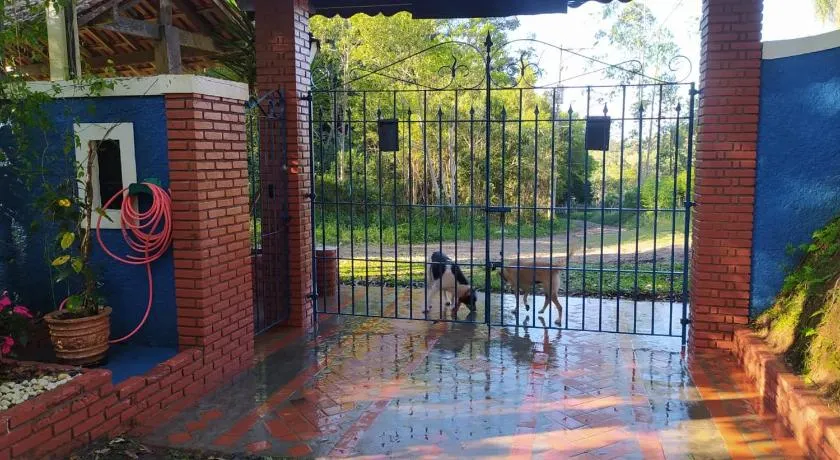 Refúgio em meio à mata Atlântica - Image 1