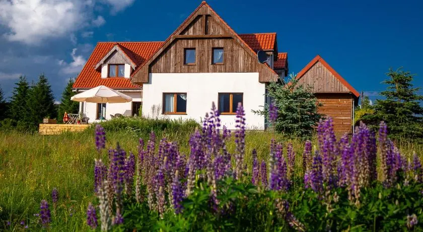 Przystanek Lasówka - Image 1