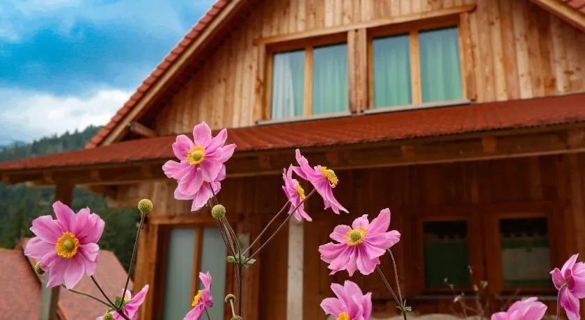 DOLOMITES Dorfhaus auf Baum - Image 1