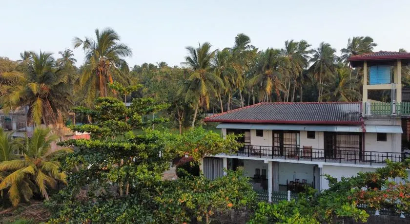 Mango Shade - Image 1
