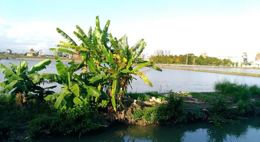 Breadtree Homestay - Image 1