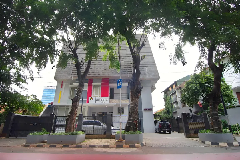 House of Arsonia Tulip - Image 1
