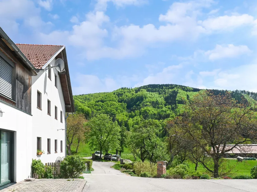 Loftartige Wohnung in Scheibbs mit Schwimmteich - Image 1