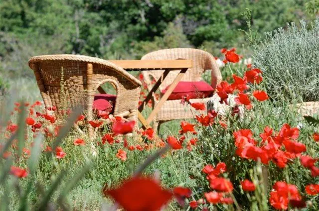 Maison Rouge - Image 1