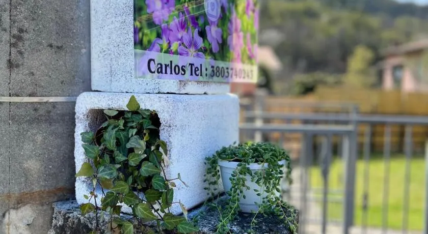 CASA MIA MALVA - Image 1