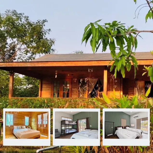 Coco and Canal HomeStory - Image 1
