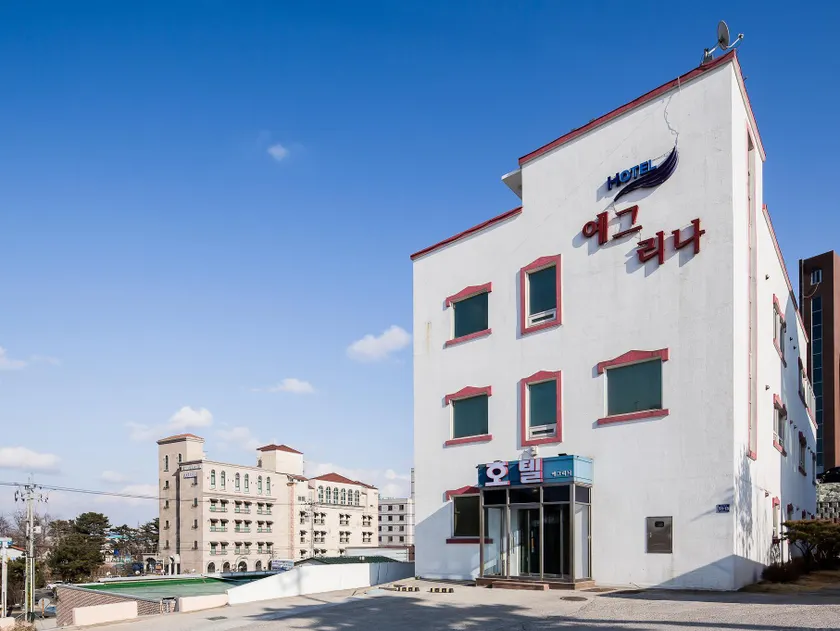 Incheon Airport Yegrina Hotel - Image 1