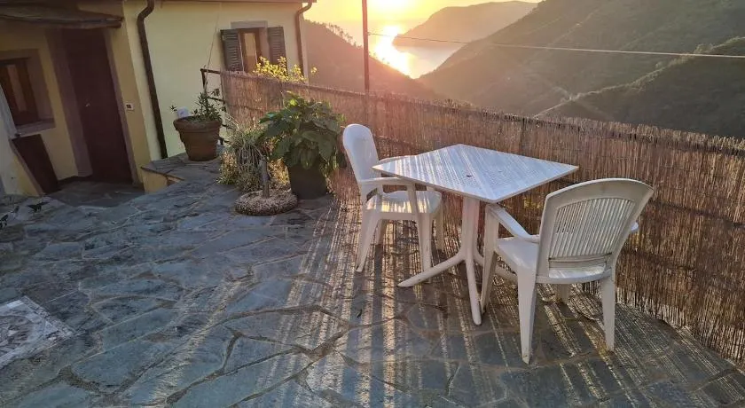 Il vigneto - Image 1