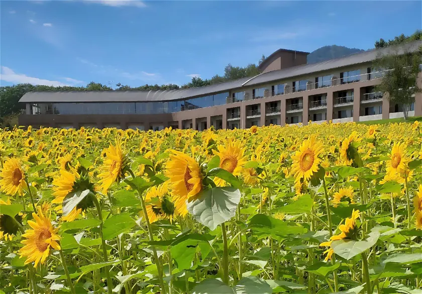 Furano Hotel 富良野ホテル - Image 1