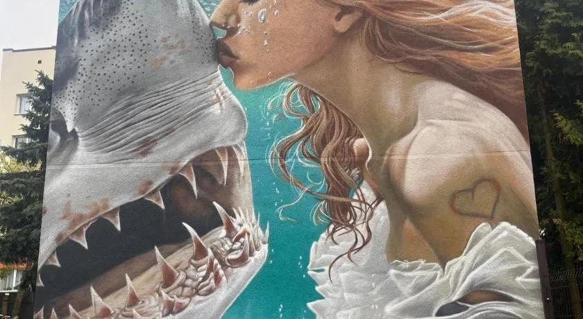 Shark - Image 1