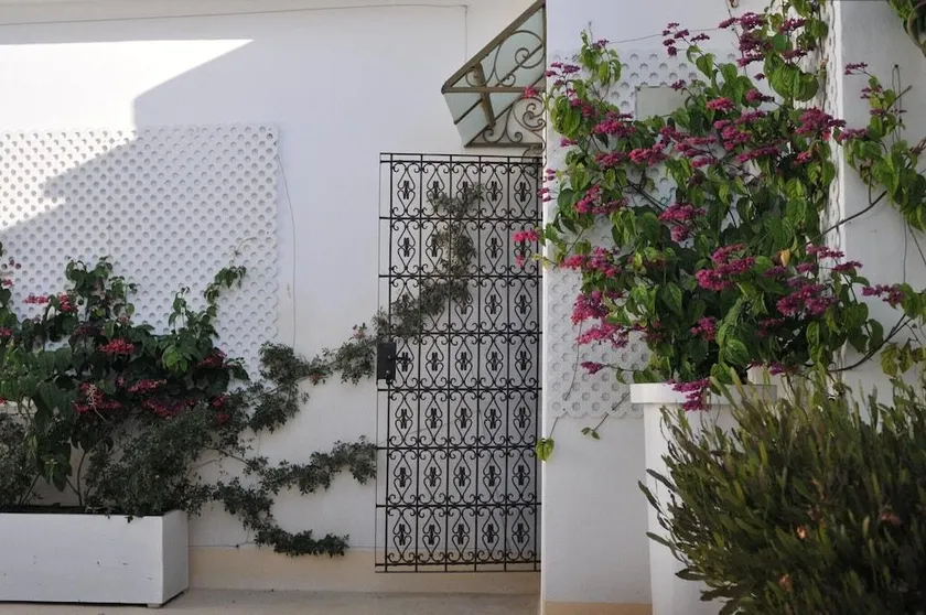 Dar Slama - Image 1
