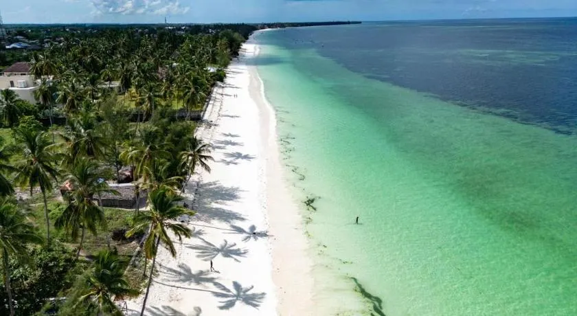 Amani Palms by Manolo Beach Resort - Image 1