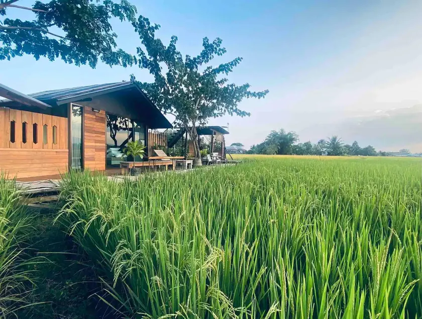 BREATHE - Rice Valley - Image 1