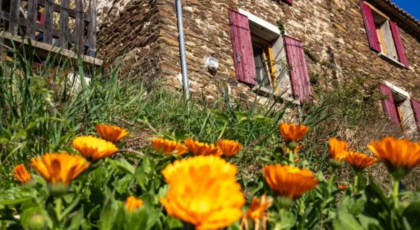Mas Soubeyran - Image 1