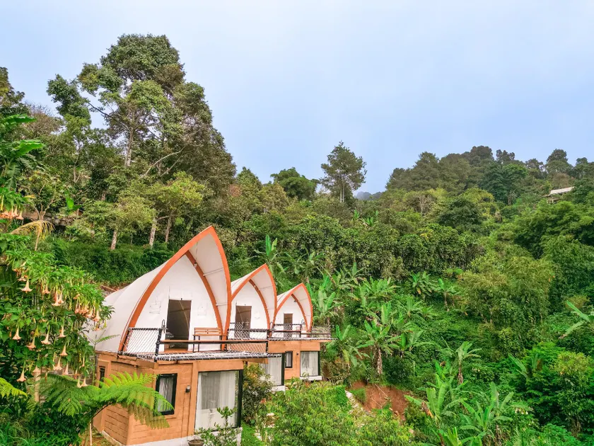 Selayang Olivehill - Kemewahan Glamping di Hutan - Image 1