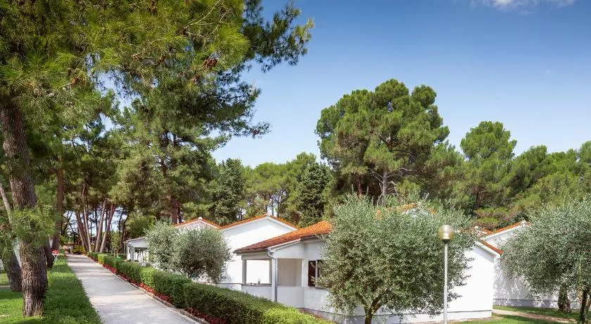 Apartments Galijot Plava Laguna - Image 1
