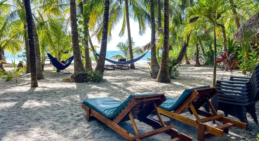 Fenix Hotel - On the Beach - Image 1