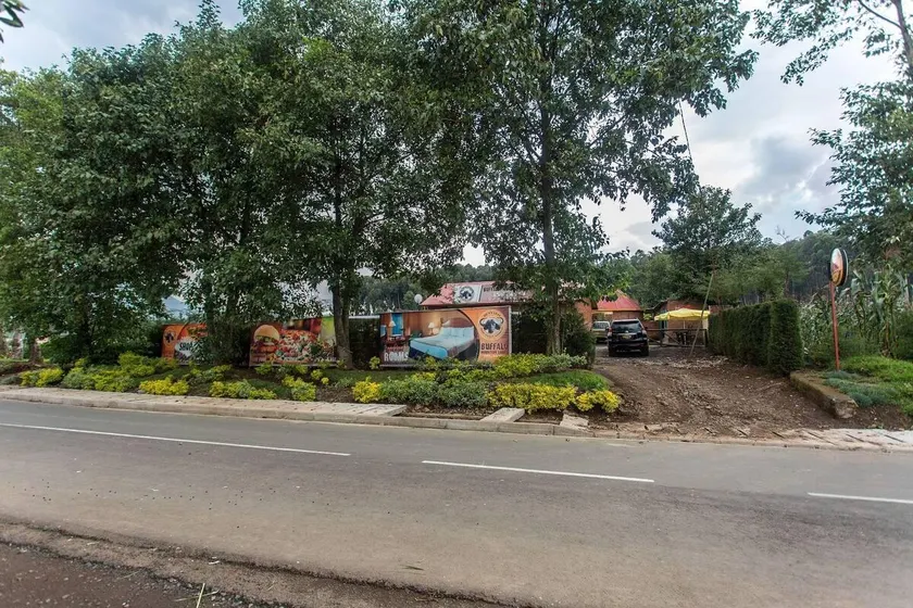 Buffalo Mountain Lodge - Image 1