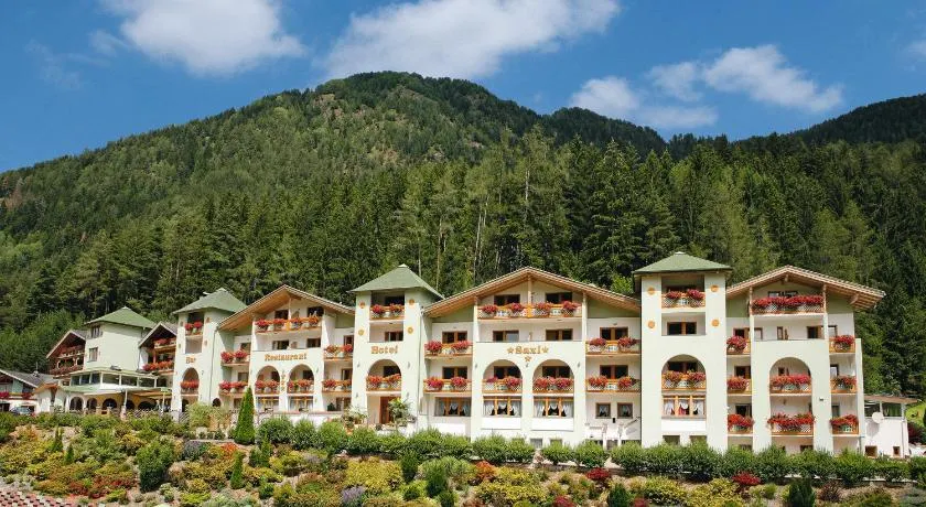 Hotel Saxl - Image 1