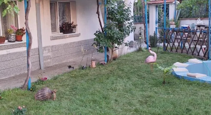Къща за гости ЕДЕЛВАЙС - Image 1